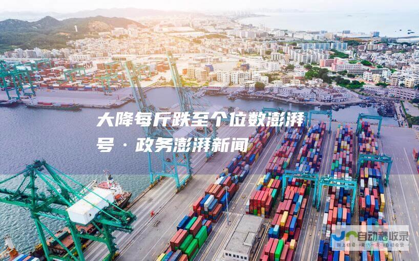 大降！每斤跌至个位数_澎湃号·政务_澎湃新闻