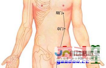 期门穴_足厥阴肝经_高斗养生网_经络穴位_针灸_艾灸_刮痧_推拿按摩