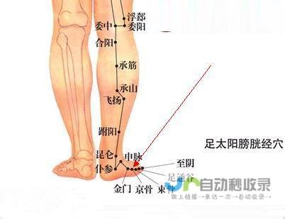 _足太阳膀胱经_高斗养生网_经络穴位_针灸_艾灸_刮痧_推拿按摩