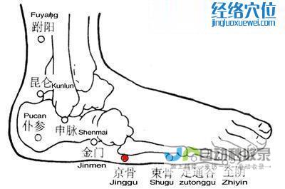 _足太阳膀胱经_高斗养生网_经络穴位_针灸_艾灸_刮痧_推拿按摩