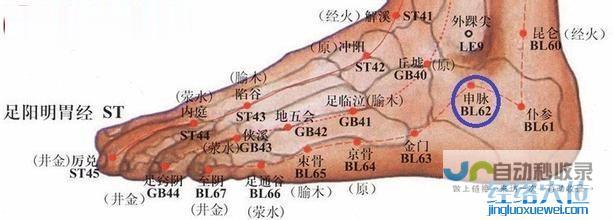 _足太阳膀胱经_高斗养生网_经络穴位_针灸_艾灸_刮痧_推拿按摩
