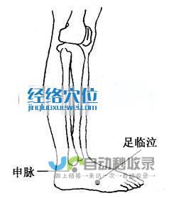 _足太阳膀胱经_高斗养生网_经络穴位_针灸_艾灸_刮痧_推拿按摩