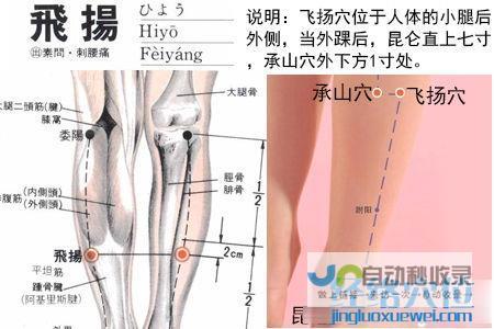 _足太阳膀胱经_高斗养生网_经络穴位_针灸_艾灸_刮痧_推拿按摩