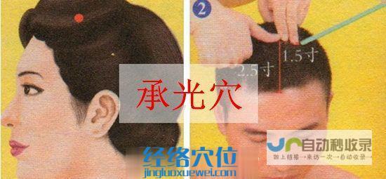承光穴_足太阳膀胱经_高斗养生网_经络穴位_针灸_艾灸_刮痧_推拿按摩