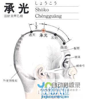_足太阳膀胱经_高斗养生网_经络穴位_针灸_艾灸_刮痧_推拿按摩