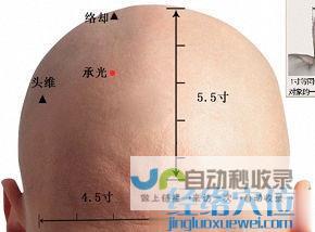 _足太阳膀胱经_高斗养生网_经络穴位_针灸_艾灸_刮痧_推拿按摩