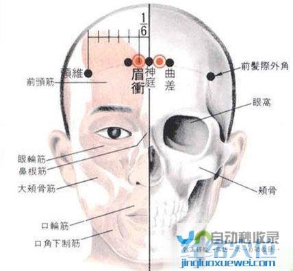 _足太阳膀胱经_高斗养生网_经络穴位_针灸_艾灸_刮痧_推拿按摩
