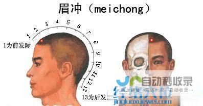_足太阳膀胱经_高斗养生网_经络穴位_针灸_艾灸_刮痧_推拿按摩
