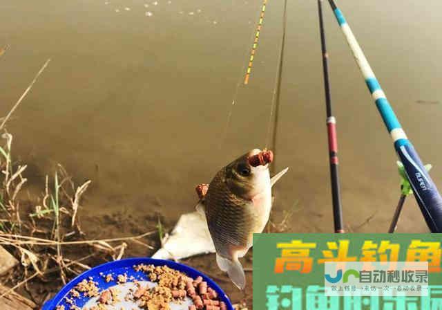 春钓要想有个好渔获，不要单从饵料入手，从这3方面_四季钓鱼_高斗钓鱼