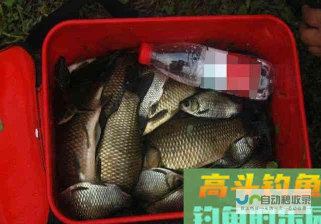 春钓要想有个好渔获，不要单从饵料入手，从这3方面_四季钓鱼_高斗钓鱼
