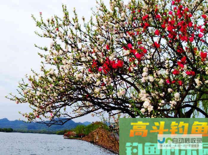 春分节气鲫鱼要怎么钓？又如何解决小鱼闹，答案在这里_四季钓鱼_高斗钓鱼
