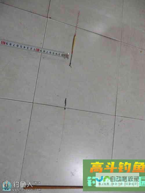 图解橡皮檫找底法（附调漂原理）_调漂技巧_高斗钓鱼