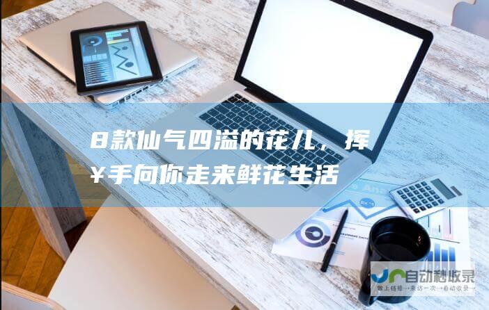 8款仙气四溢的花儿，挥挥手向你走来_鲜花生活_高斗网